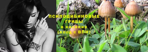 экстази Богородицк