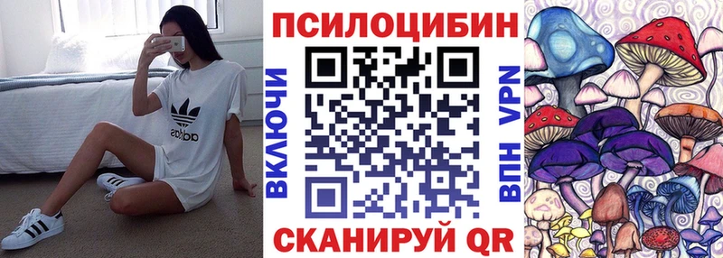 Псилоцибиновые грибы Psilocybine cubensis  блэк спрут ТОР  Малмыж 